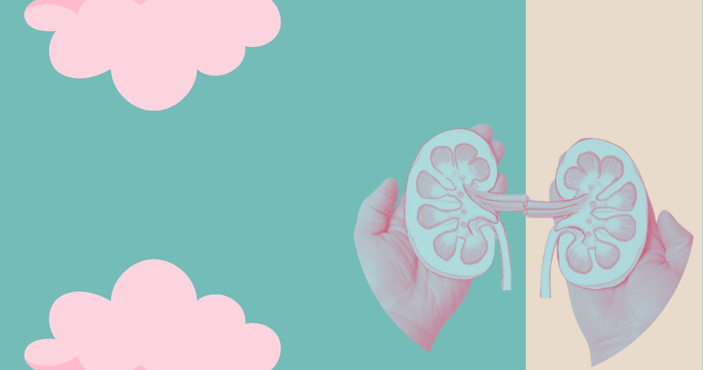 Kidneys Causing Trouble? Let’s Talk Treatment Options